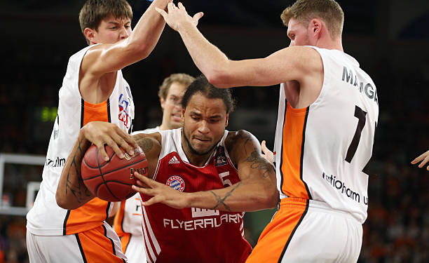 聘请霍楠为 聘请霍楠为